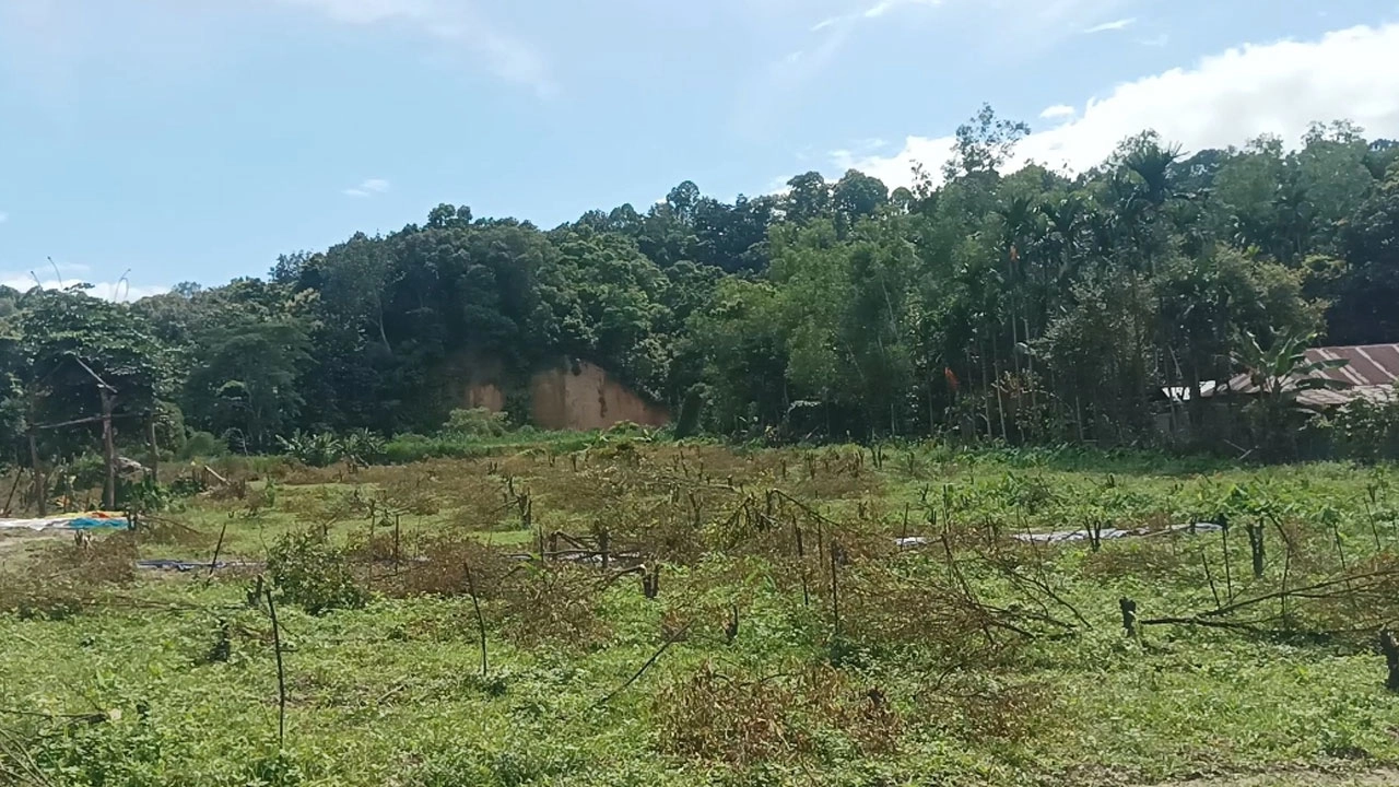 ছবি: এনপিবি