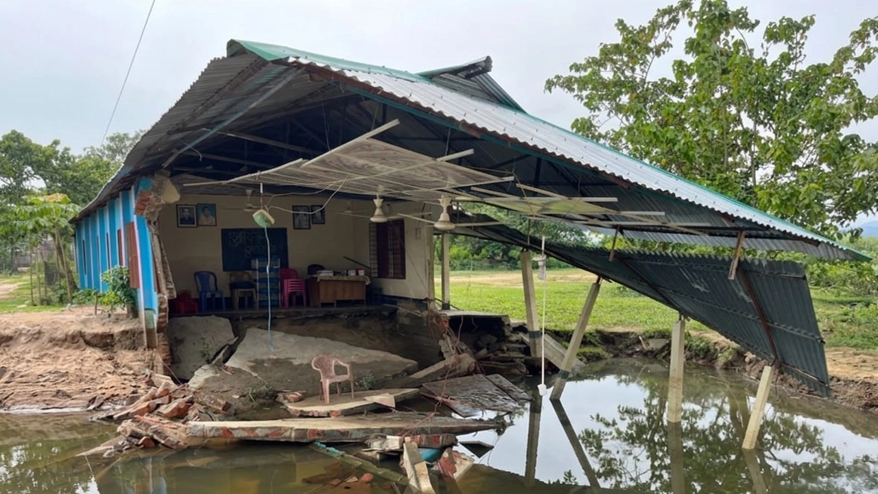 ছবি: এনপিবি নিউজ