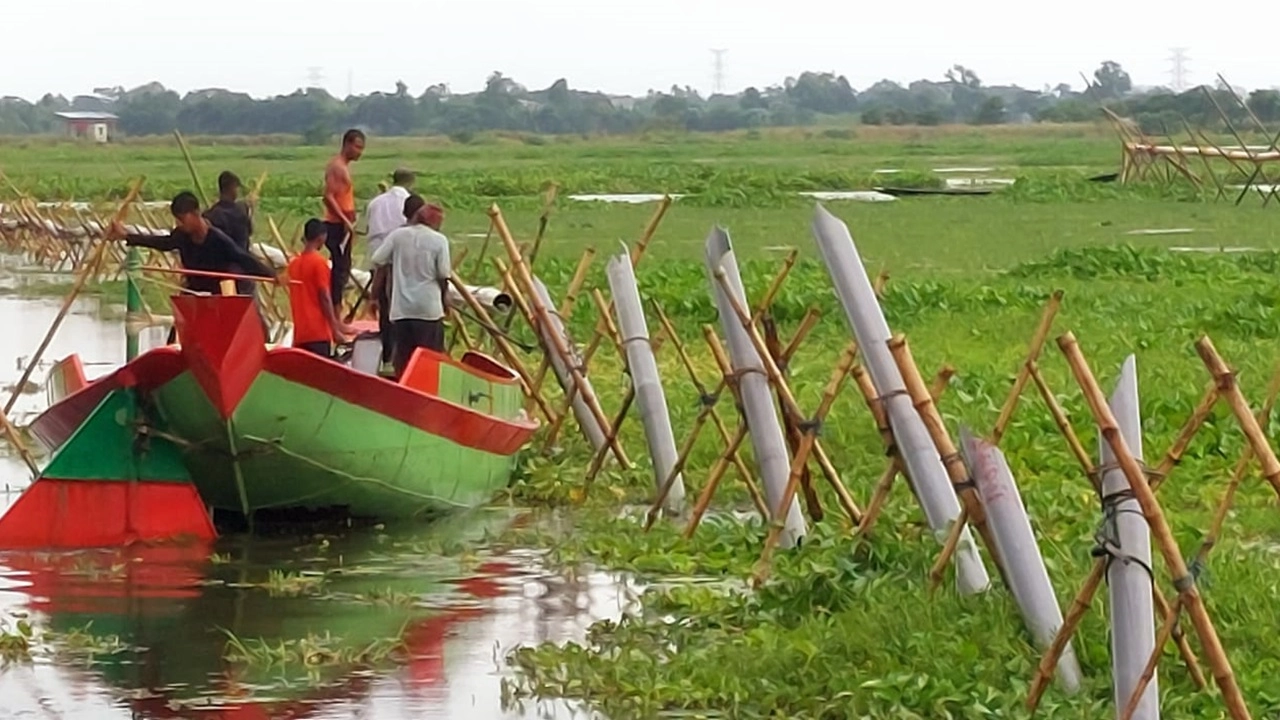 ছবি : সংগৃহীত।