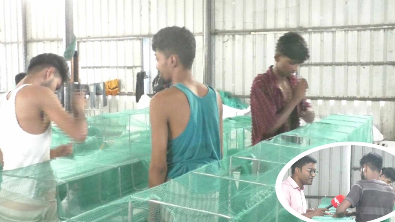 ছবি: এনপিবি নিউজ
