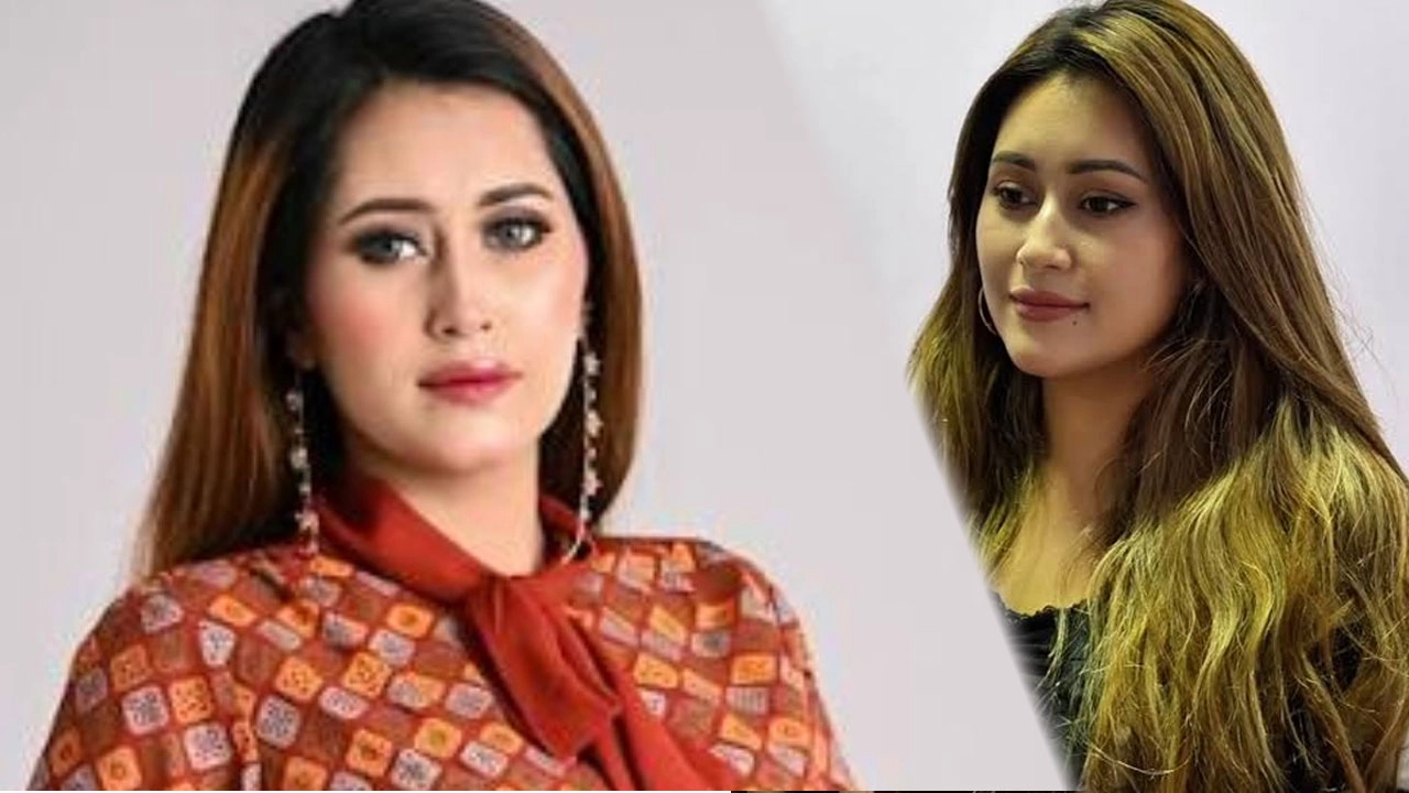 এনপিবি কোলাজ
