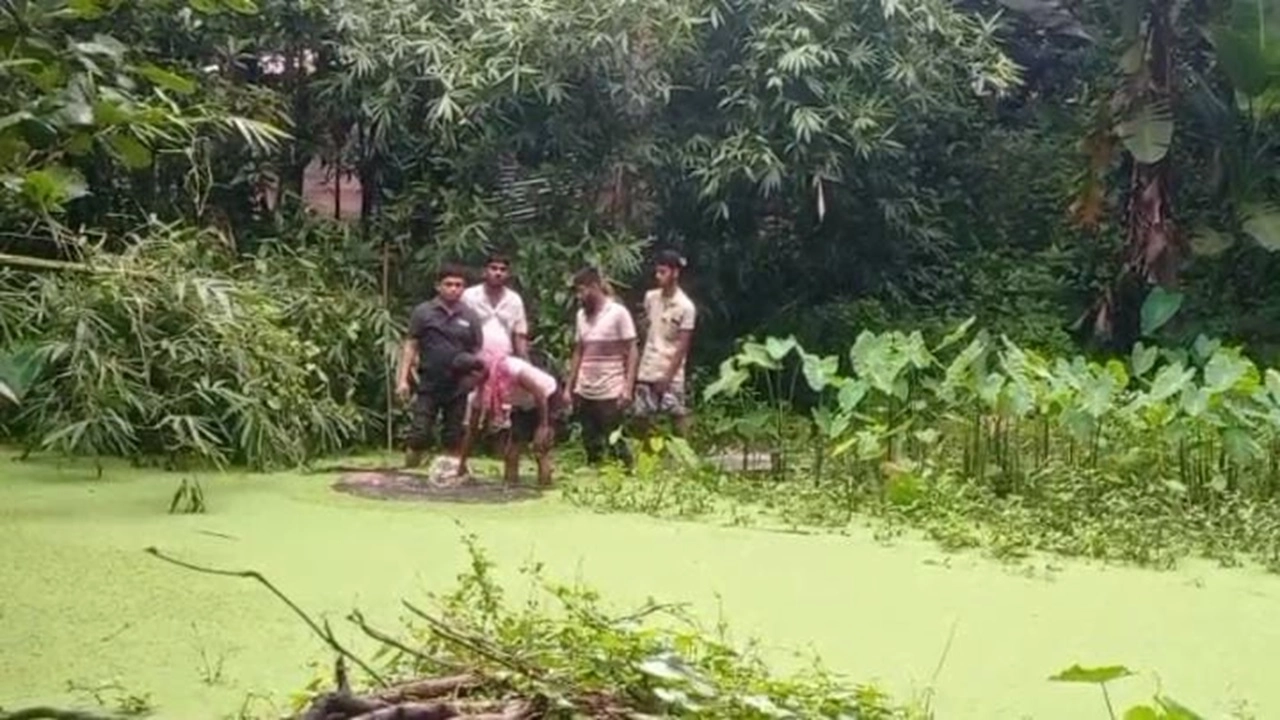 ছবি : সংগৃহীত।