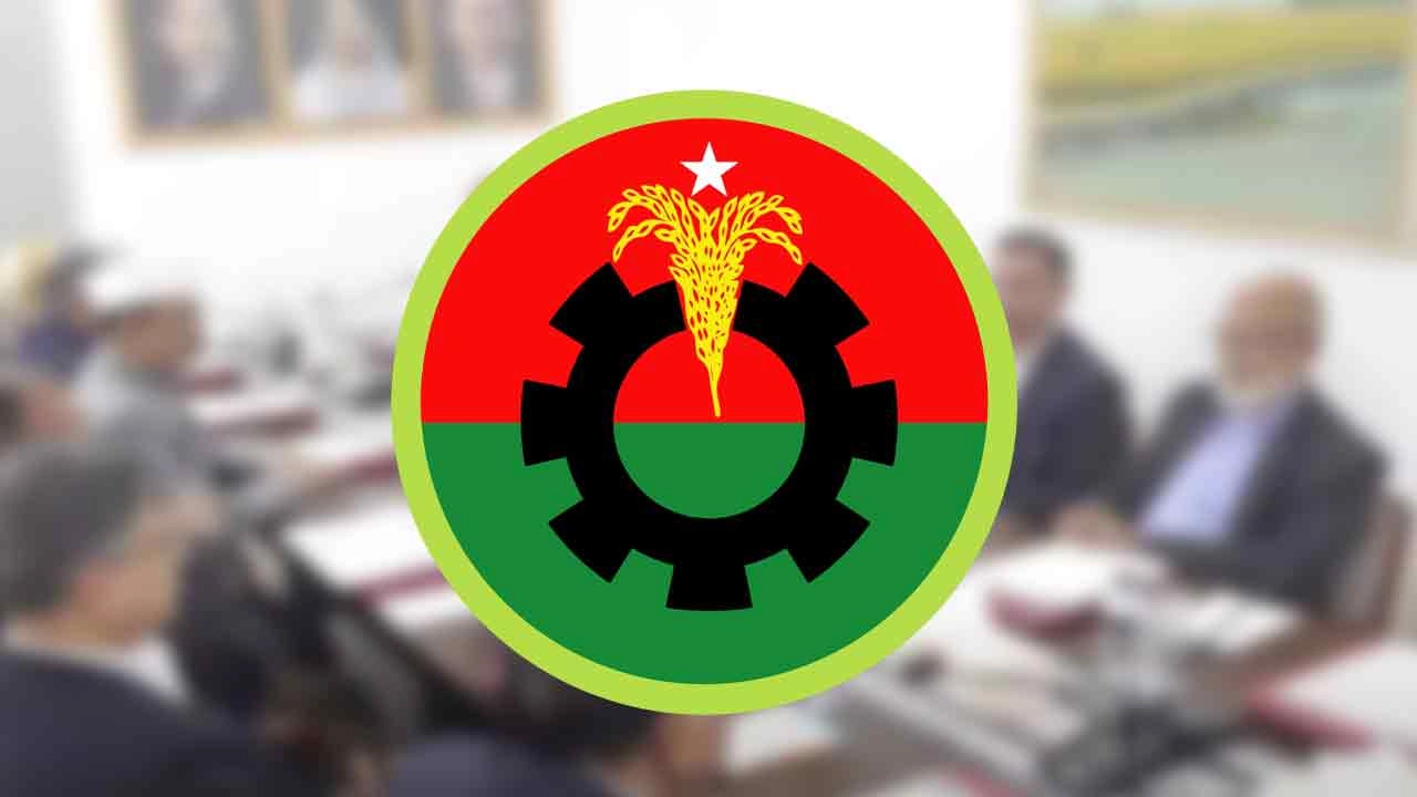 বিএনপির লোগো