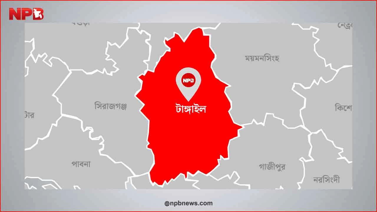 ফাইল ছবি