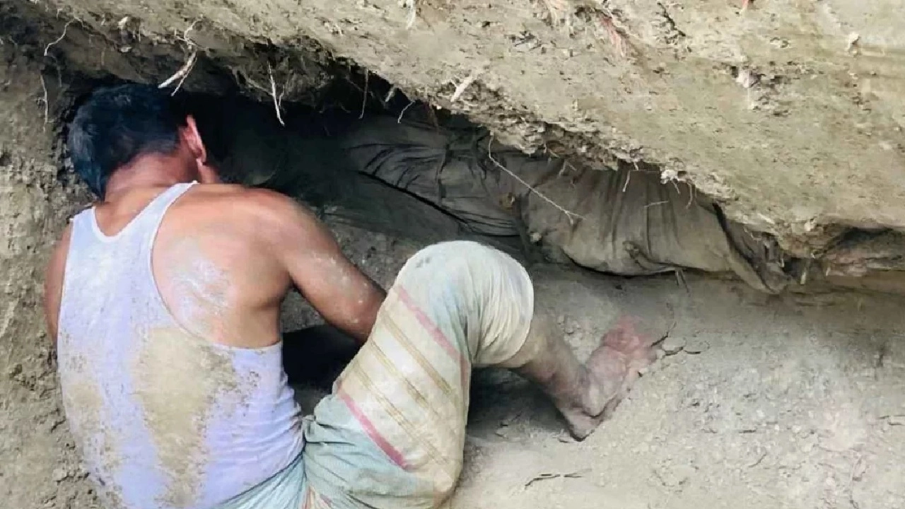 ছবি : সংগৃহীত।