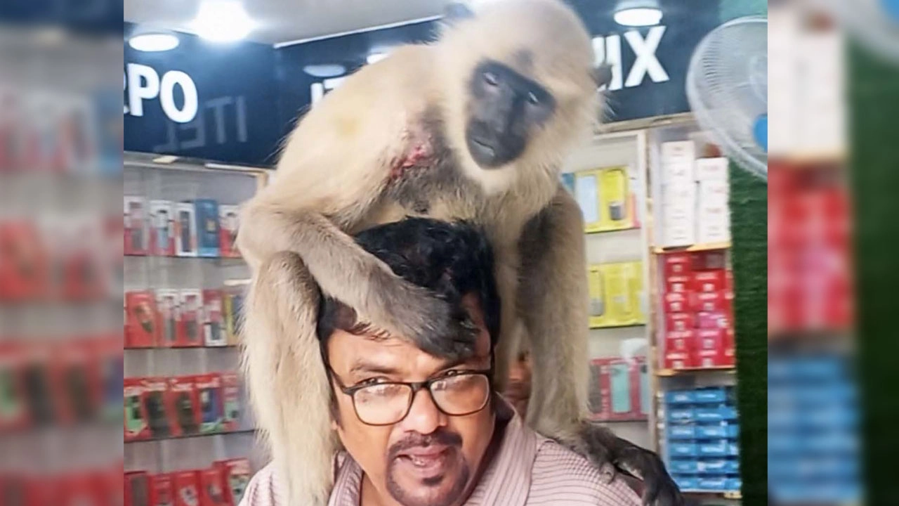 ছবি: সংগৃহীত