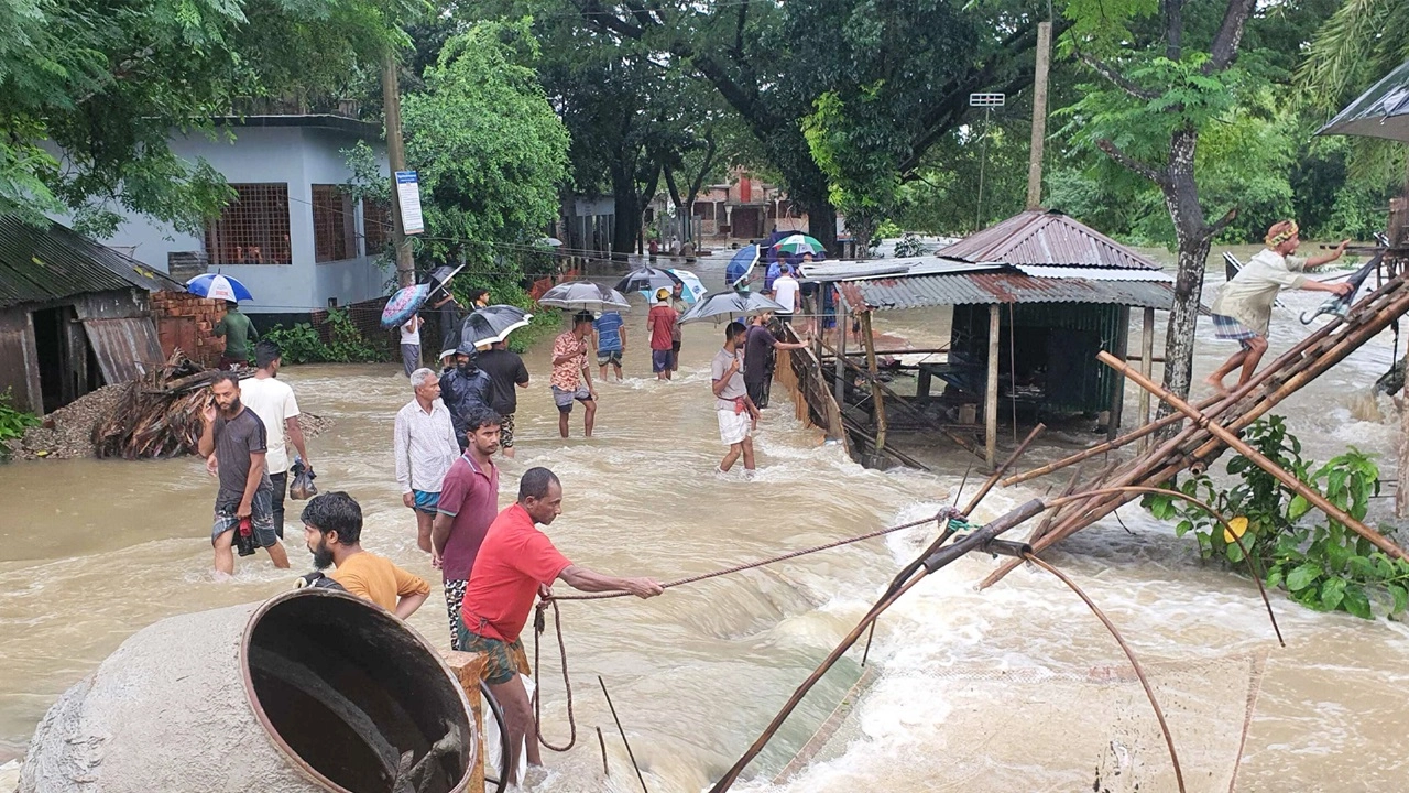 ছবি : সংগৃহীত।