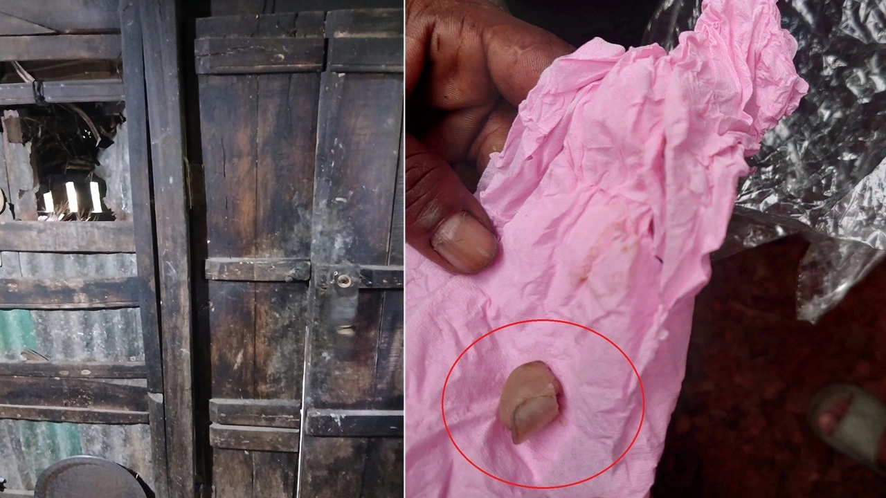ছবি : সংগৃহীত।