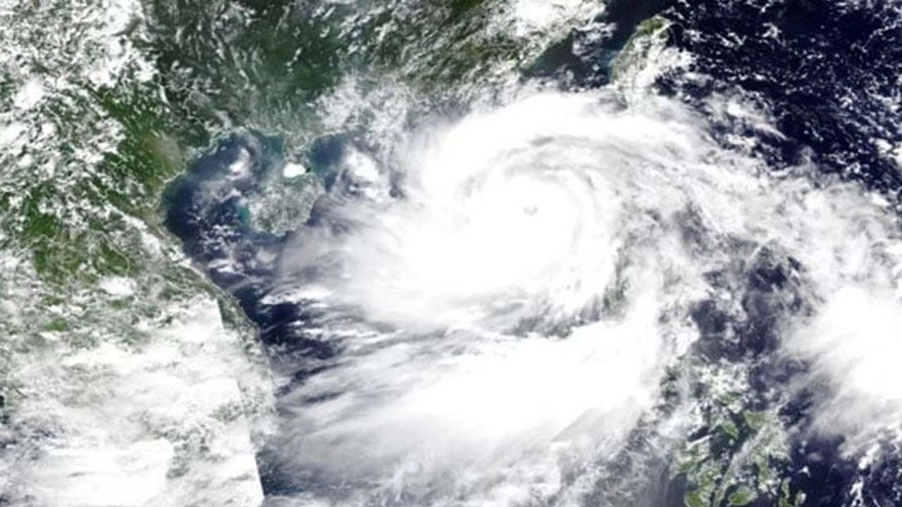 ফাইল ছবি