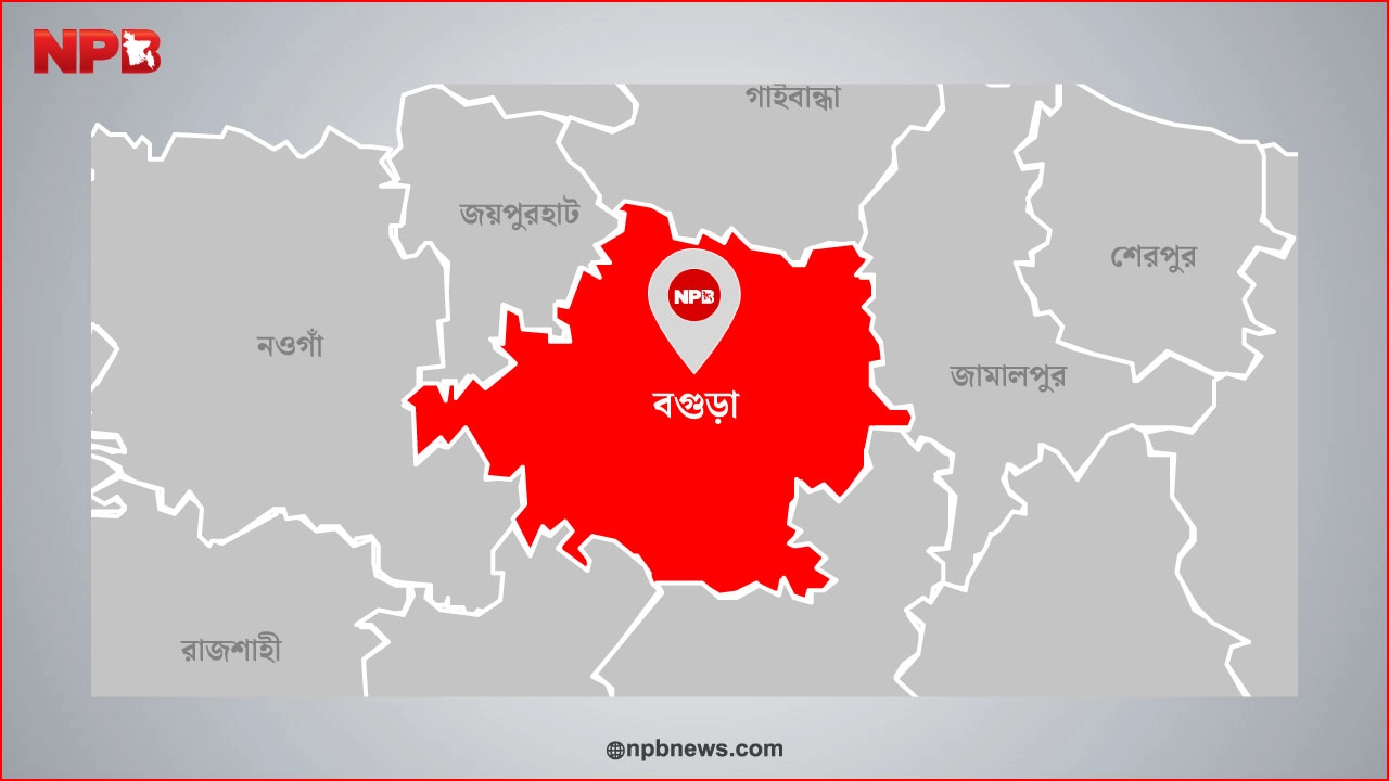 এনপিবি গ্রাফিক্স