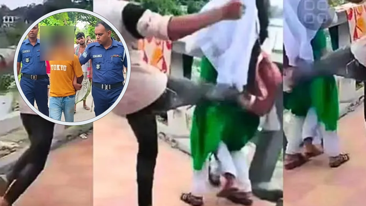 এনপিবি কোলাজ
