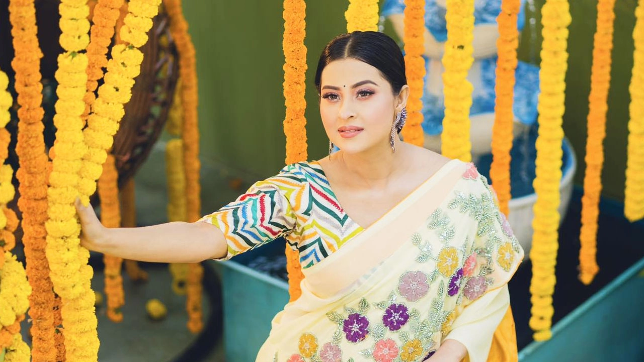 ফাইল ছবি