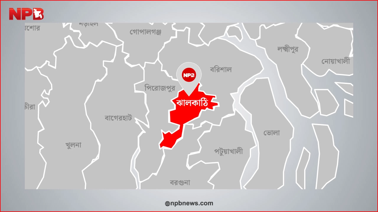 ছবি: এনপিবি নিউজ