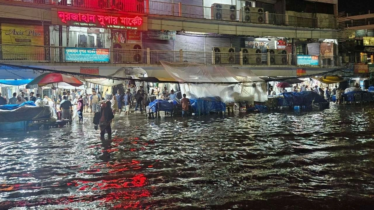 ছবি: সংগৃহীত