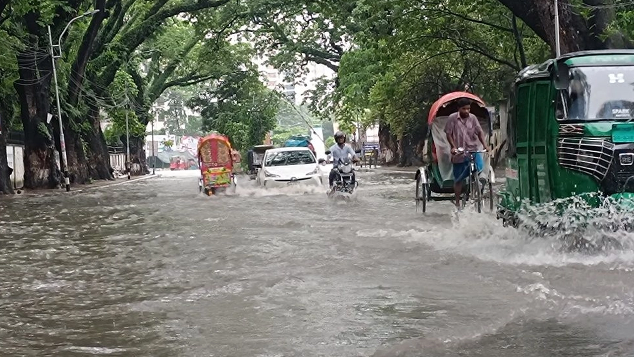 ফাইল ছবি
