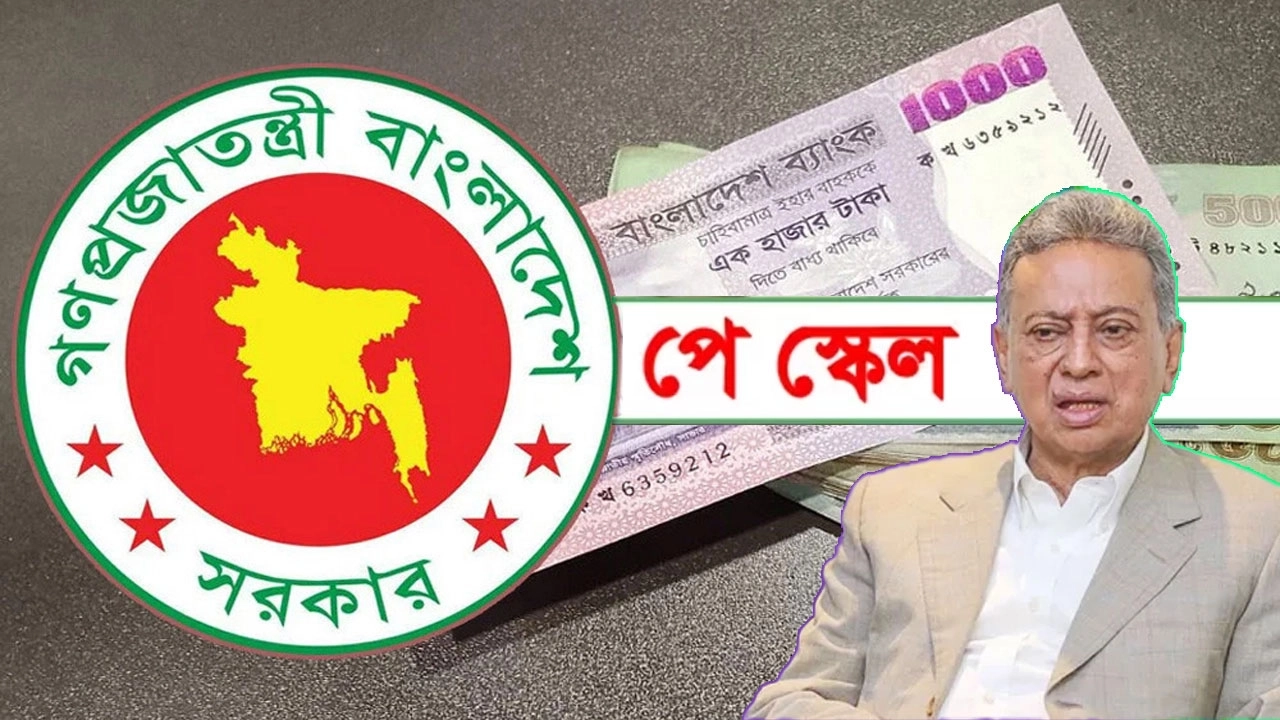 ফাইল ছবি