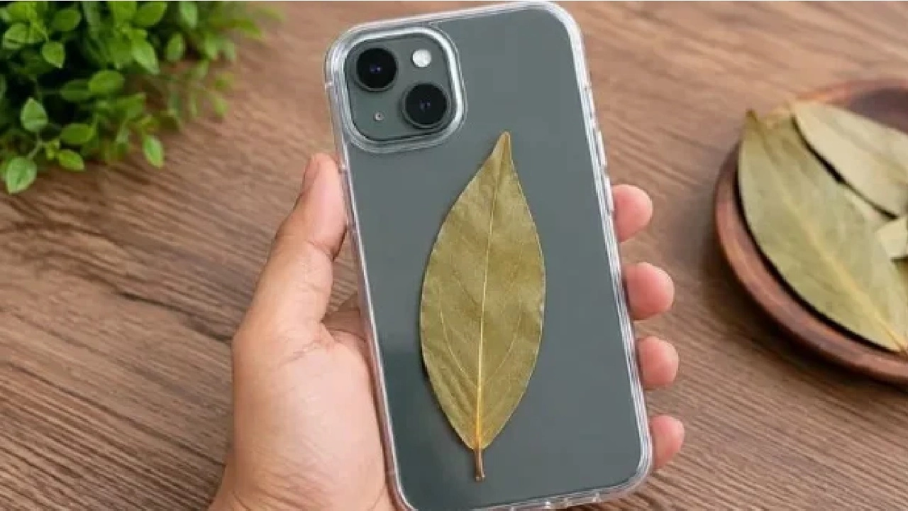 ছবি : সংগৃহীত।
