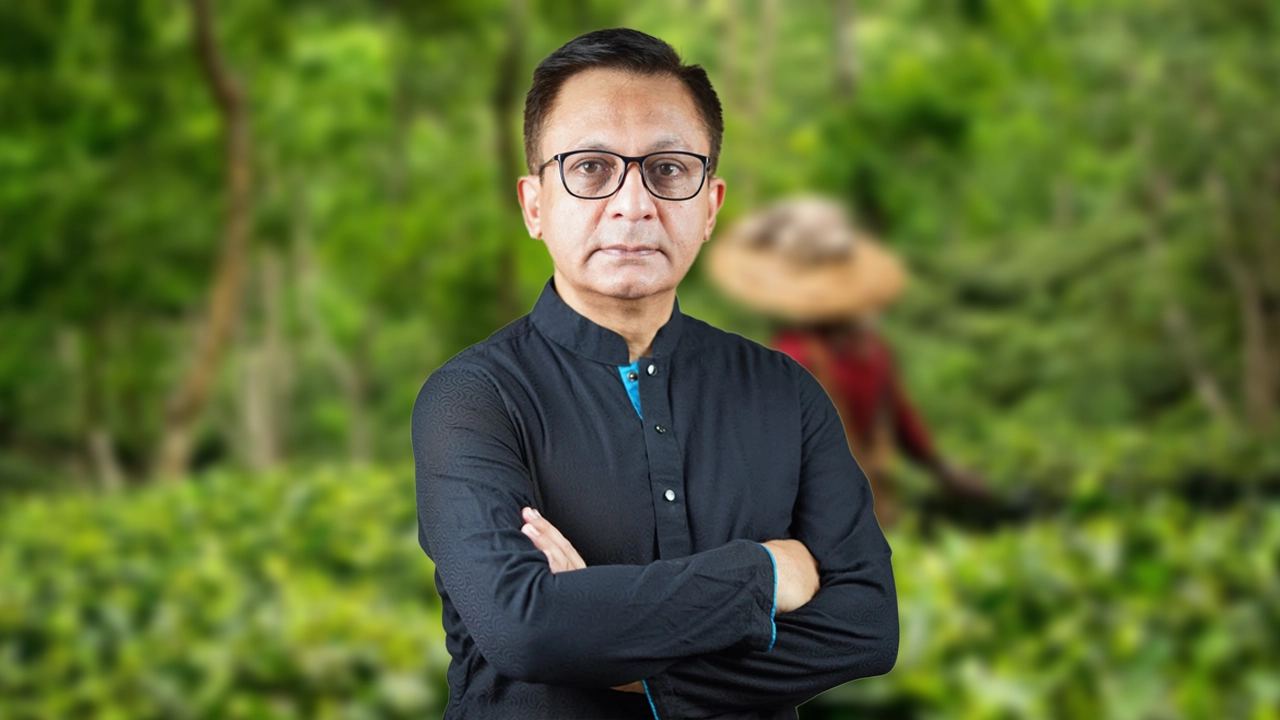 এনপিবি কোলাজ