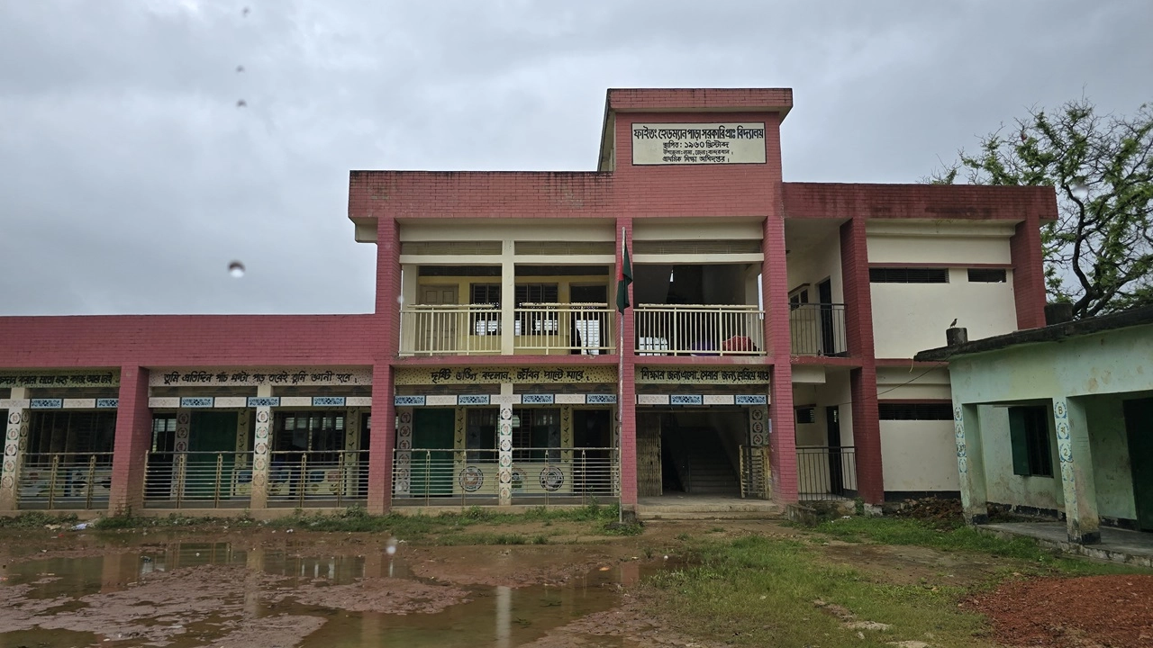 ছবি: এনপিবি নিউজ