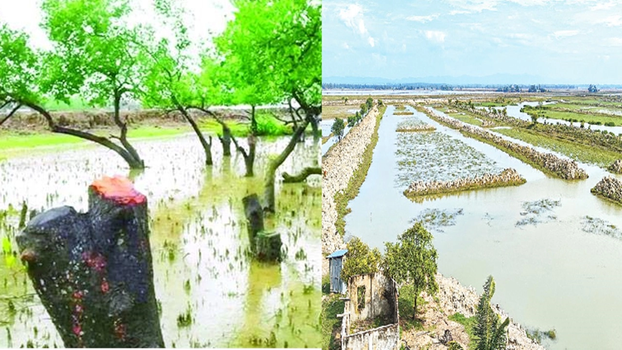 ছবি : সংগৃহীত।