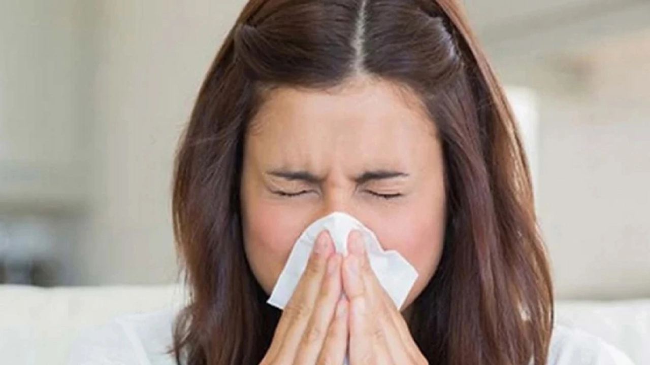 ছবি সংগৃহীত