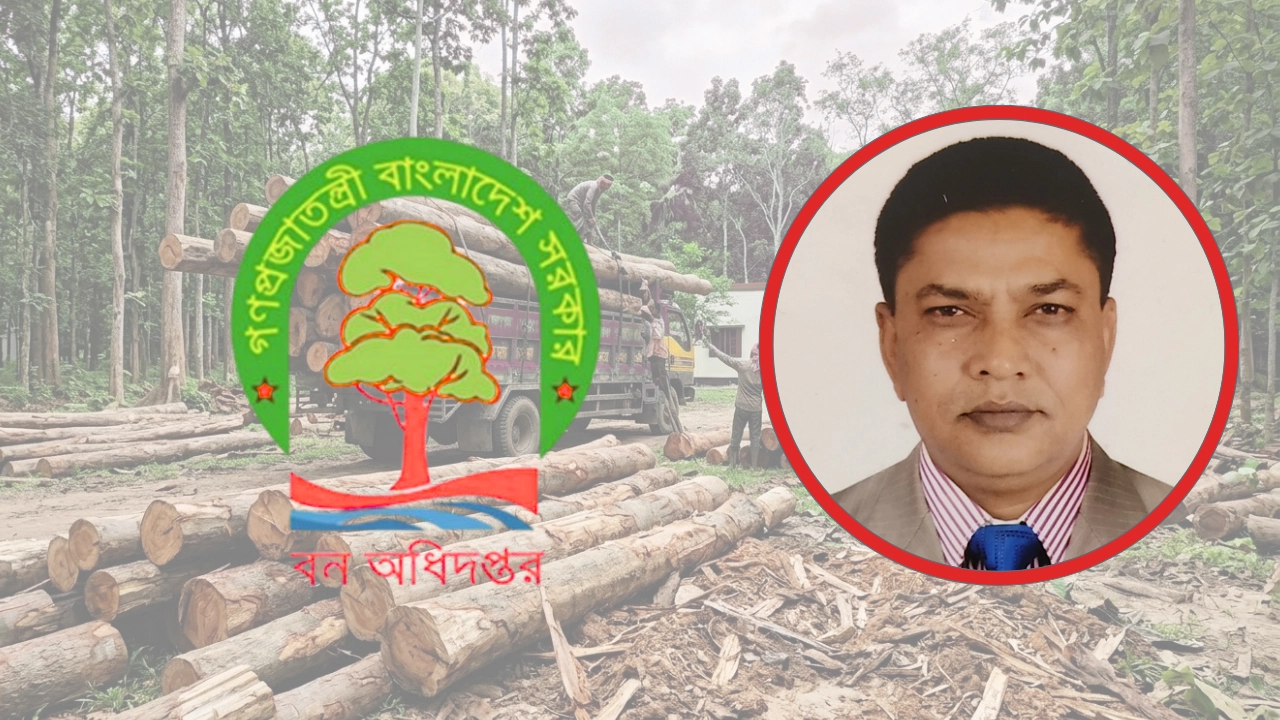 এনপিবি কোলাজ