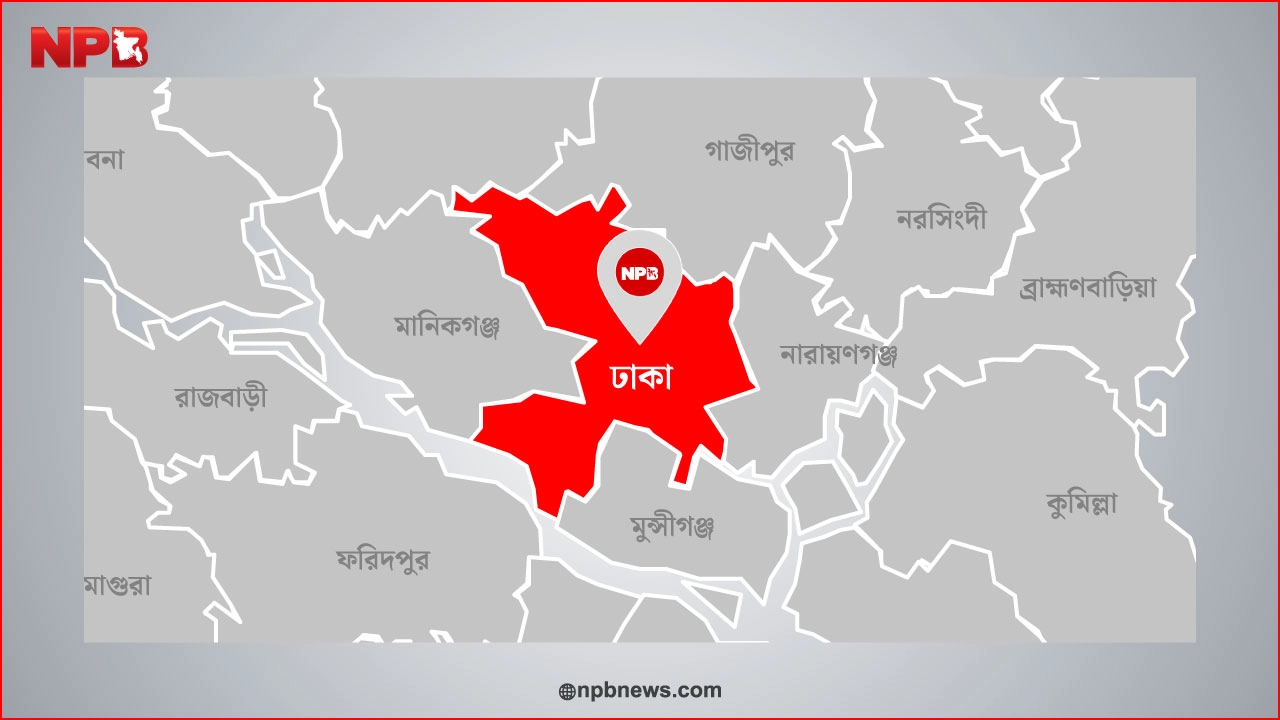 এনপিবি গ্রাফিক্স