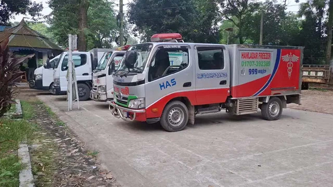 সংগৃহীত ছবি