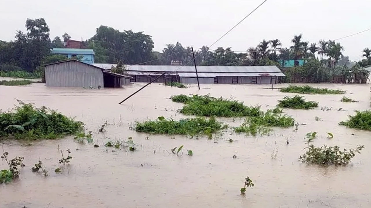ছবি: পুরোনো