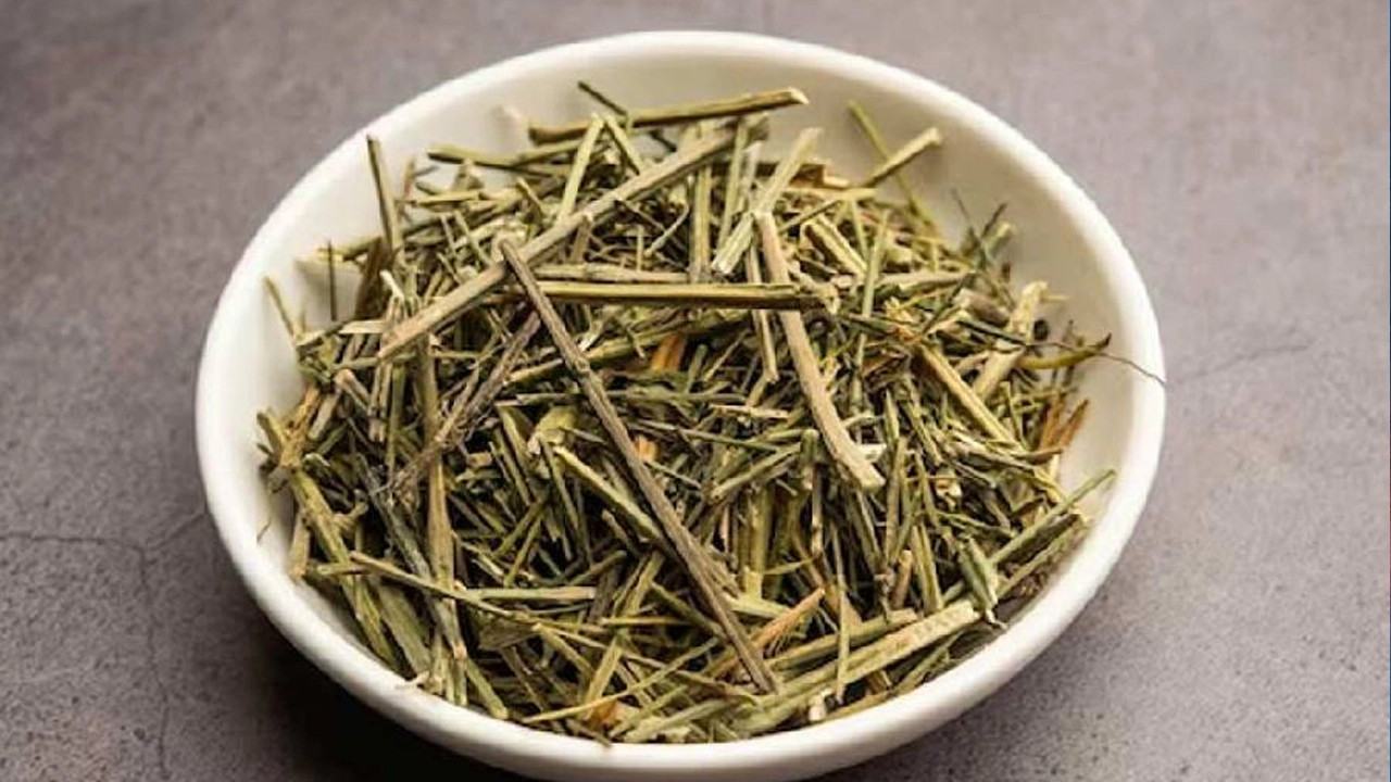 ছবি সংগৃহীত