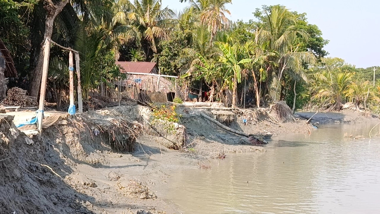 ছবি: এনপিবি নিউজ