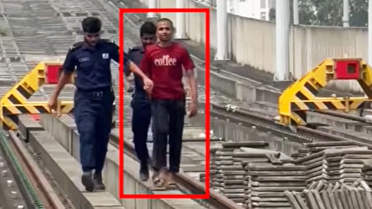 ছবি: এনপিবি গ্রাফিক্স