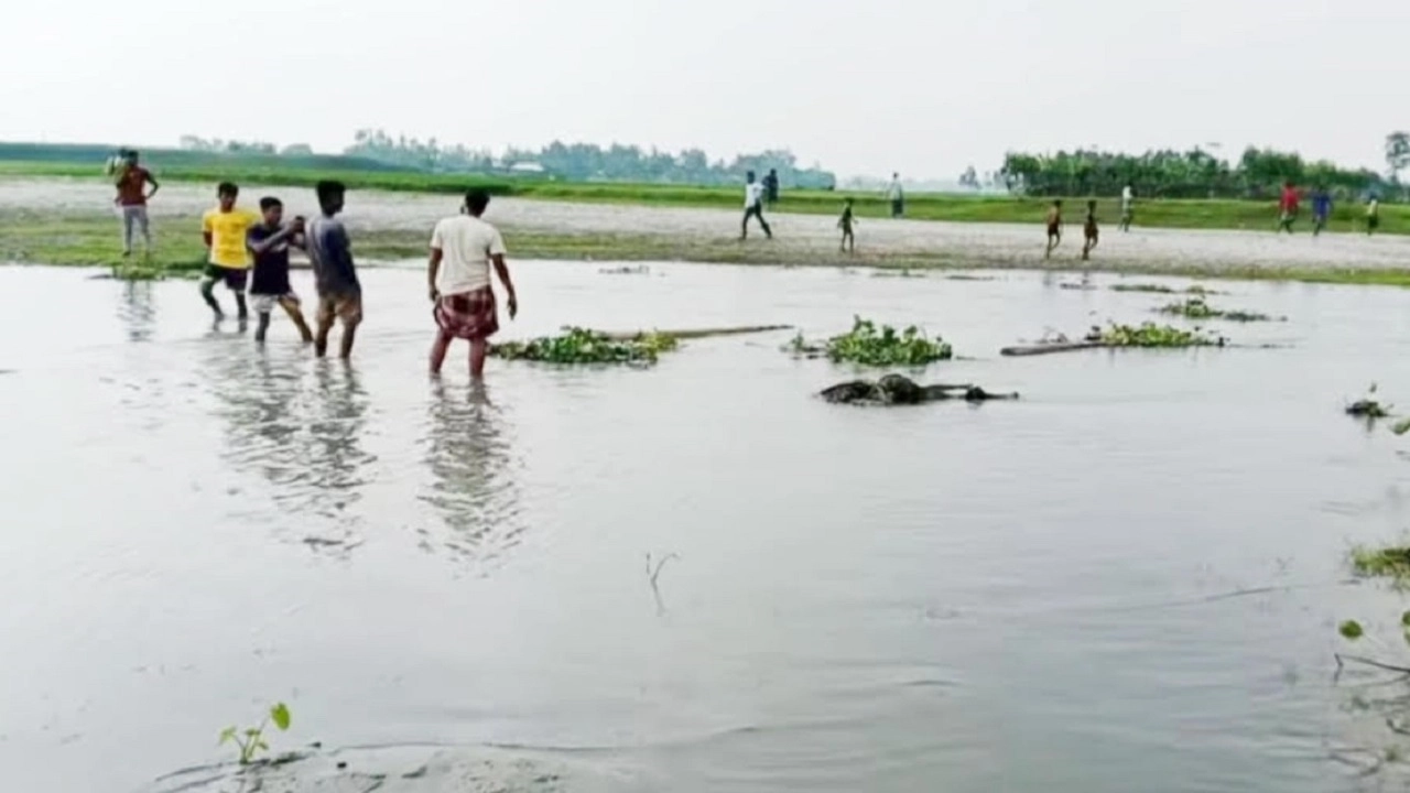 ধরলা নদীর তীরে অর্ধগলিত মরদেহ