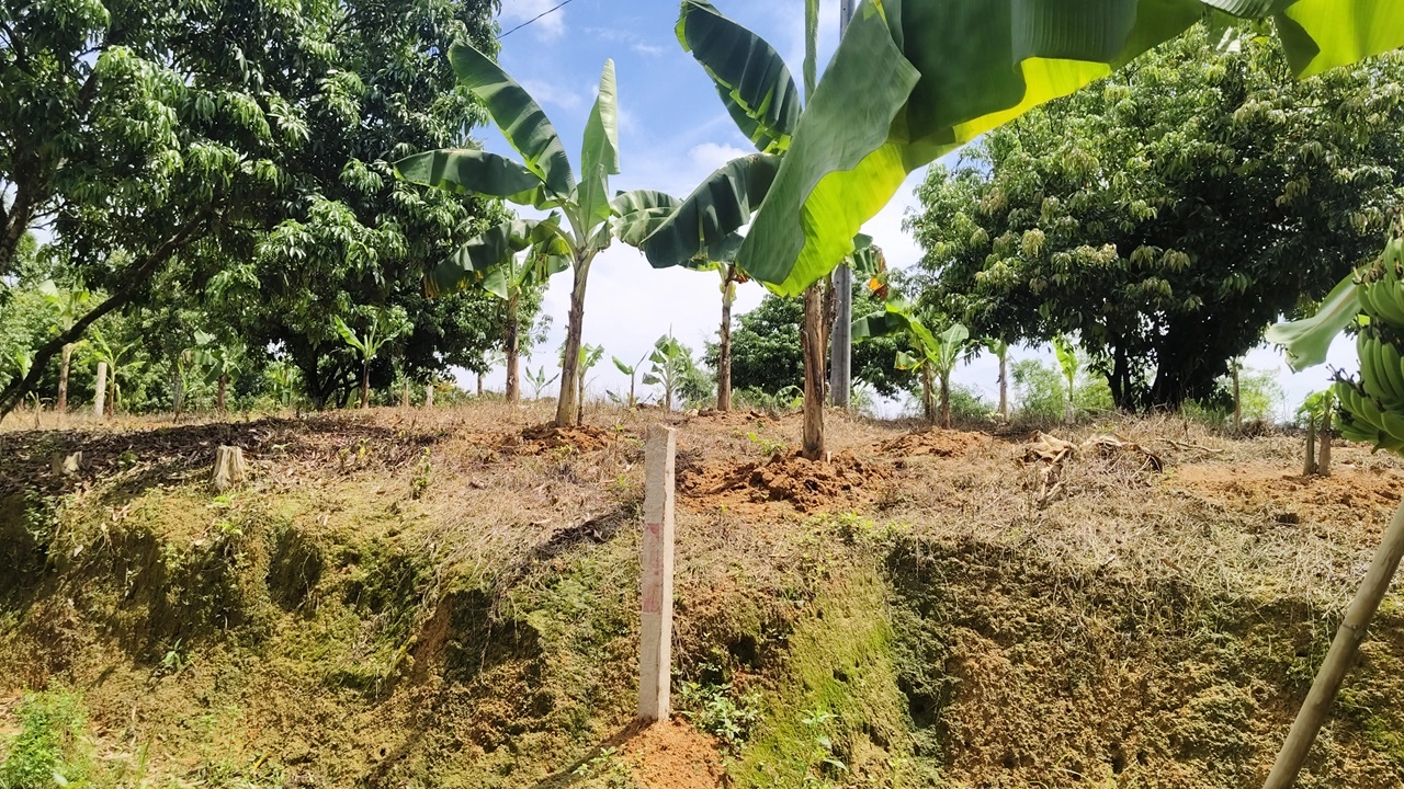 ছবি: এনপিবি নিউজ