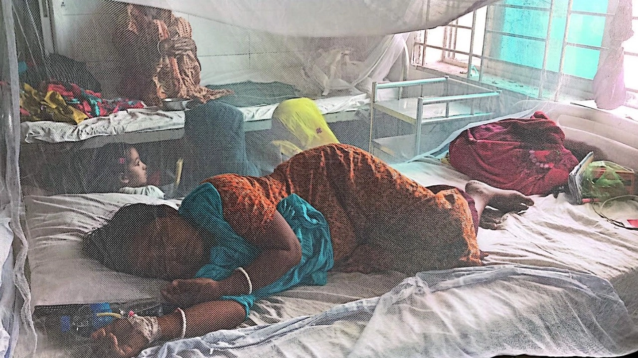 রামপালে ডেঙ্গু রোগীর চাপ বাড়ছে