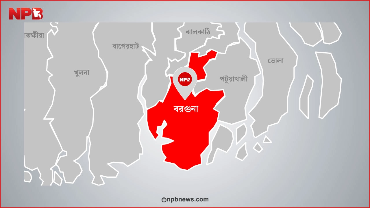 ছবি: এনপিবি গ্রাফিক্স