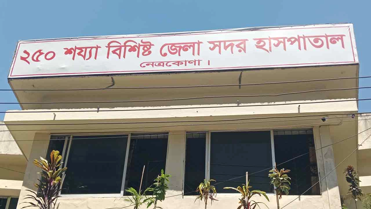 ফাইল ছবি