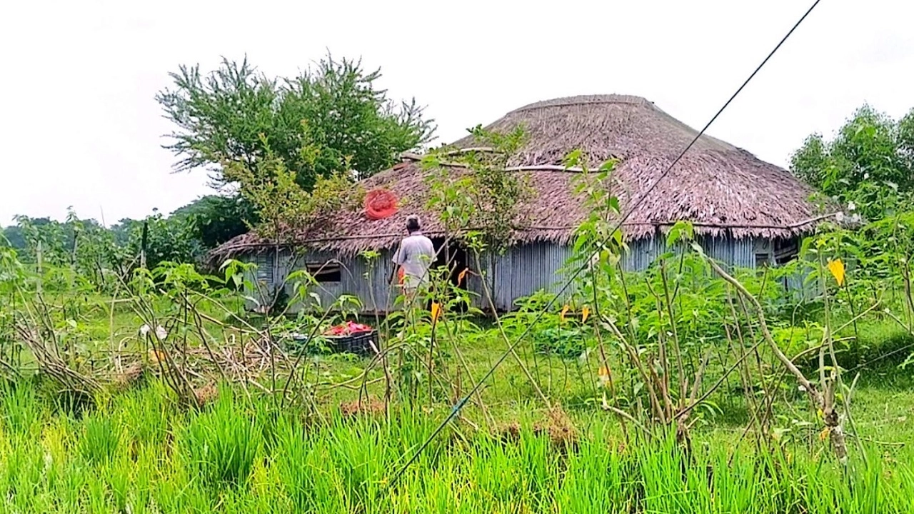 রামপালে চর ভরাটি জমি