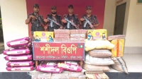 বিজিবির অভিযানে ৫১ লাখ টাকার ভারতীয় চোরাই পণ্য জব্দ 