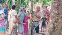 শিক্ষককে গাছে বেঁধে নির্যাতনের ভিডিও ভাইরাল