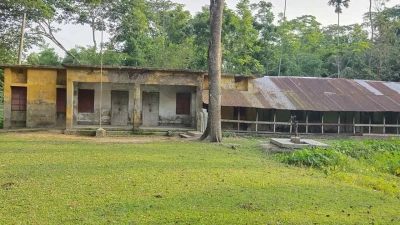 ১১ শিক্ষকের ১১ পরীক্ষার্থী, একমাত্র পাস করা শিক্ষার্থীর নাম জানেন না প্রধান শিক্ষক