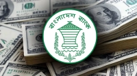১৬ দিনেই ১৭৯ কোটি ডলারের রেমিট্যান্স পেল বাংলাদেশ