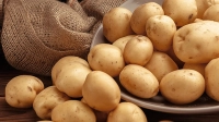 আজ বিশ্ব আলু দিবস