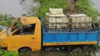 লাখাইয়ে পিকআপ-টমটম সংঘর্ষে ব্যবসায়ী নিহত