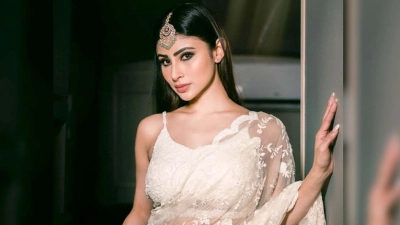 বাঙালিকন্যাকে বিগ বসে আনতে মোটা অঙ্কের প্রস্তাব