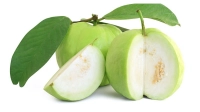 পেয়ারার পুষ্টিগুণ ও স্বাস্থ্য উপকারিতা