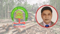 গাছ রক্ষার দায়িত্বে থেকে ‘গাছ পাচারকারী’!