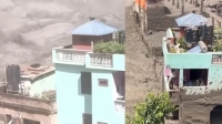 ভাইরাল সেই সবুজ বাড়ির ভেতরে থাকা পরিবার নিয়ে নতুন তথ্য