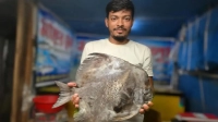 কুয়াকাটায় ধরা পড়ল বিরল প্রজাতির মাছ