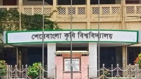 ভাইয়ের বদলে ‘ব্রো’ বলে সম্বোধন, শেকৃবিতে মারামারি